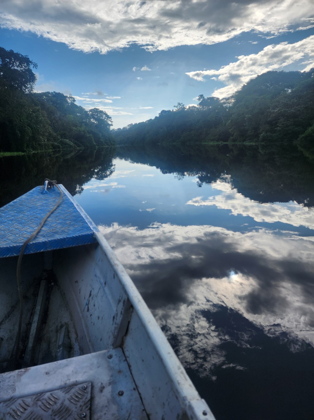 Exploring Wildlife and Culture in the Colombian Amazon with Oxygeno&nbsp;Tours